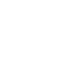 Logo for Cardiff Council